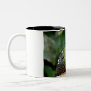 Emerald Dove Profile and Perch Two-Tone Coffee Mug