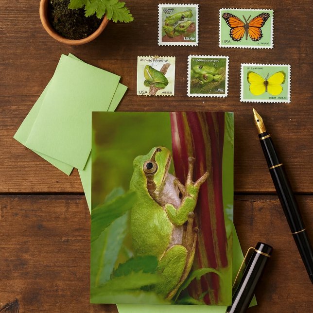 Emerald Embrace  Postcard (Creator Uploaded)