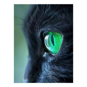Emerald Eye Black Cat Poster