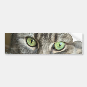 Emerald Eyes – Portrait of a Green-Eyed Cat Bumper Sticker