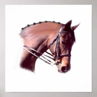 Emerald-Glen Houdini Poster