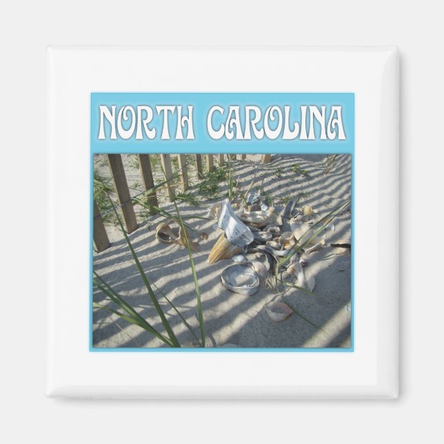 Emerald Isle Beach Seashell Collection Magnet (Front)