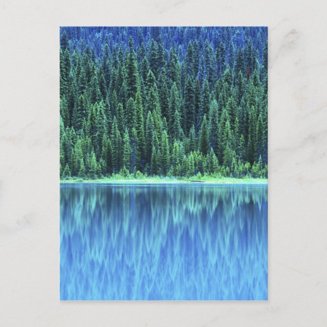 Emerald Lake, Yoho NP, BC, Canada Postcard (Front)