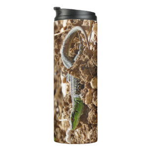 Emerald Lizard in Natural Habitat Thermal Tumbler