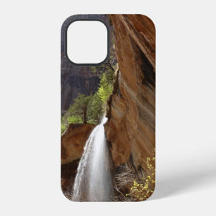 Emerald Pool Falls III from Zion National Park iPhone 12 Case