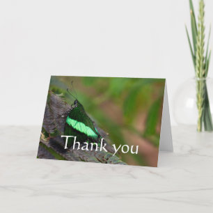 Emerald Swallowtail thank you Card