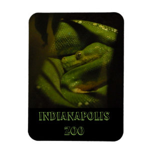 Emerald Tree Boa Indy Zoo Photo Magnet