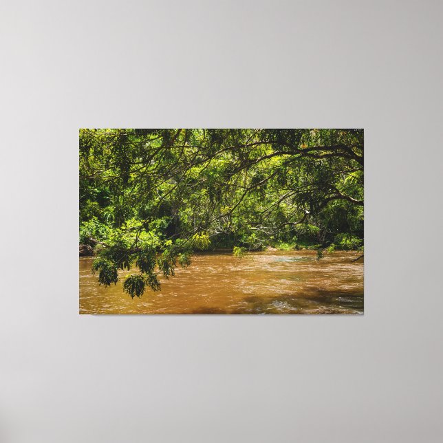 Emerald Veil over Rio Una Canvas Print (Front)