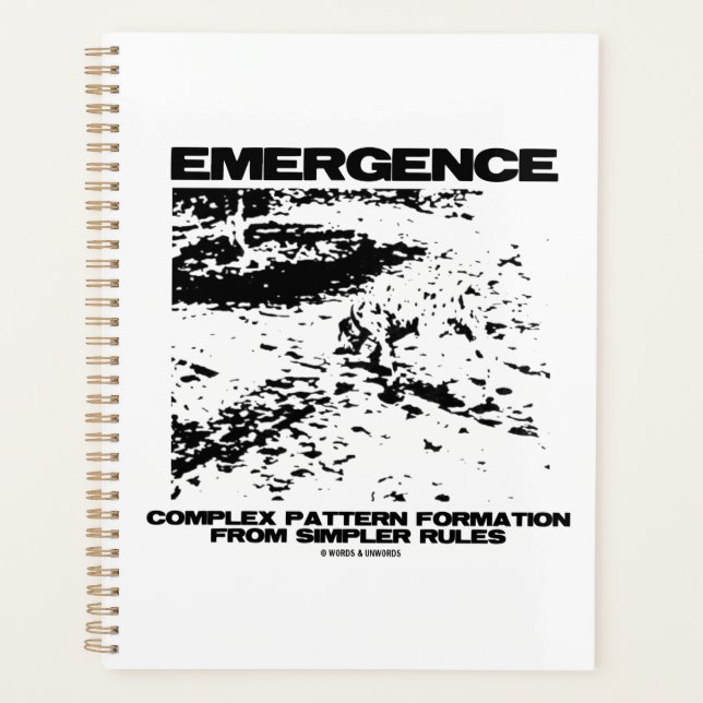 Emergence Complex Pattern Formation From Simpler Planner (Front)