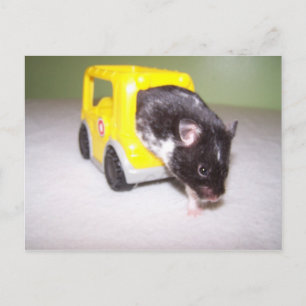 emergency exit Noah Postcard