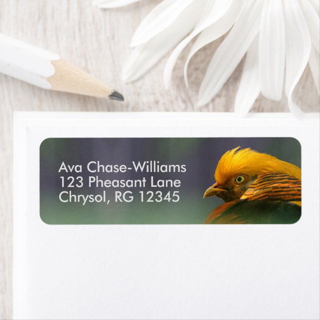 Émergent du vert : faisan d'or (En situation)