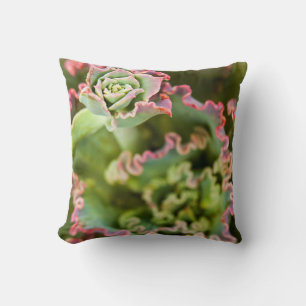 Emerging bud of an Echeveria Plant Throw Pillow