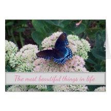 Emerging Butterfly Challenging Places