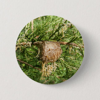 Emerging Mantis ~ button