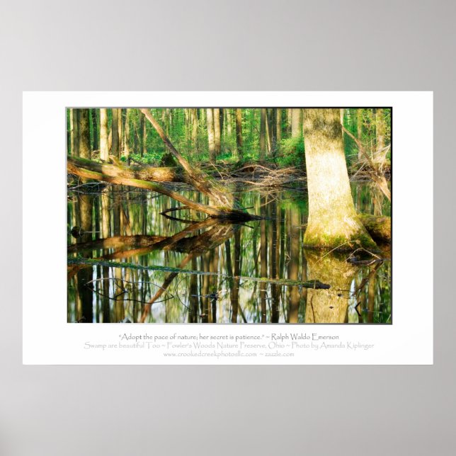 Emerson Quote Poster (Front)