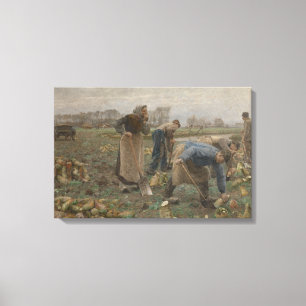 Emile Claus - The Beet Harvest Canvas Print