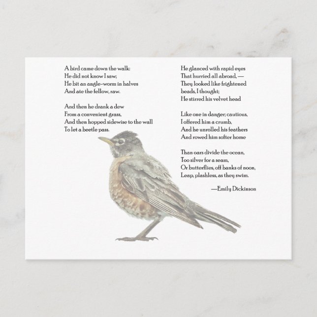 Emily Dickinson "In the Garden" Poem Postcard (Front)