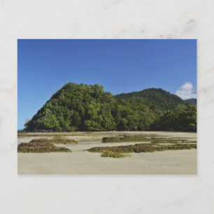 Emmagen Beach, Daintree National Park (UNESCO Postcard