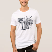 Emotionally Stable Situationally Chaotic Mindset D