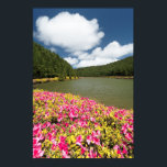 Empadadas Lakes, Azores Poster<br><div class="desc">Azaleas blooming nearby Empadadas Lakes. Sao Miguel island,  Azores,  Portugal. To the person asking about packaging: Yes,  I believe they are,  but you should ask this question to the Zazzle team. Thank you.</div>