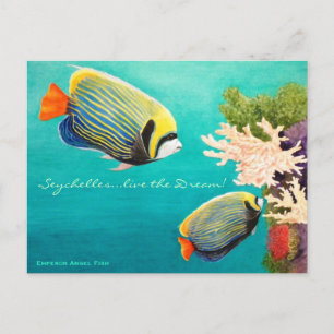 Emperor Angel Postcard