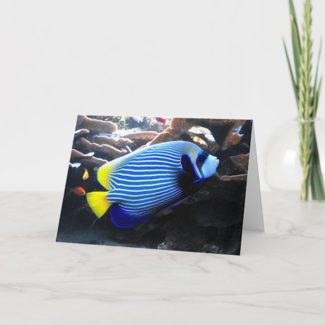 Emperor Angelfish Holiday Card (Front)