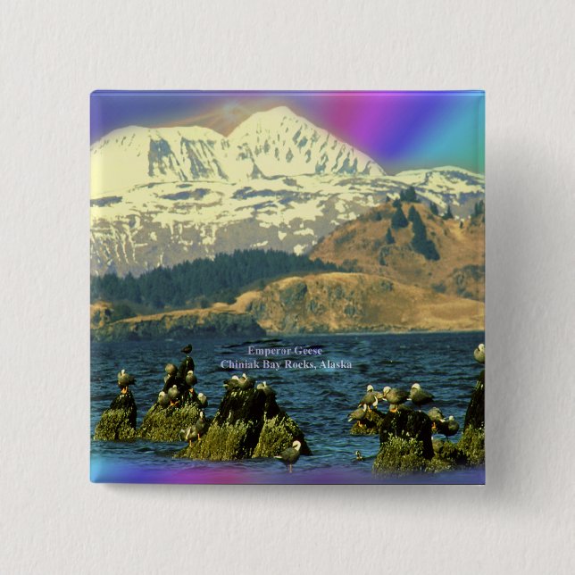 Emperor Geese on Chiniak Bay near Chiniak, Alaska 2 Inch Square Button (Front)