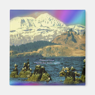 Emperor Geese on Chiniak Bay near Chiniak, Alaska Magnet