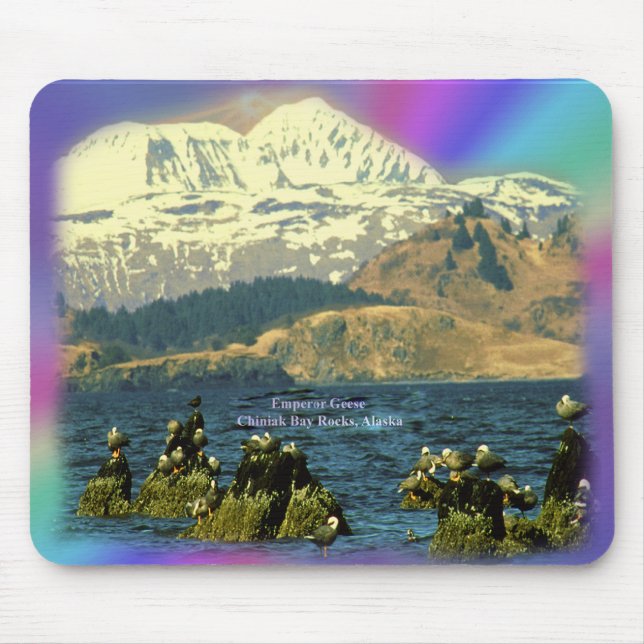 Emperor Geese on Chiniak Bay near Chiniak, Alaska Mouse Pad (Front)