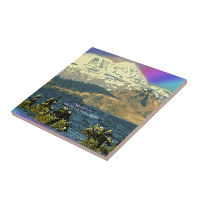 Emperor Geese on Chiniak Bay near Chiniak, Alaska Tile (Side)