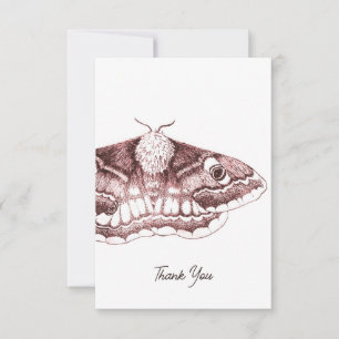 Emperor Moth Thank You Card