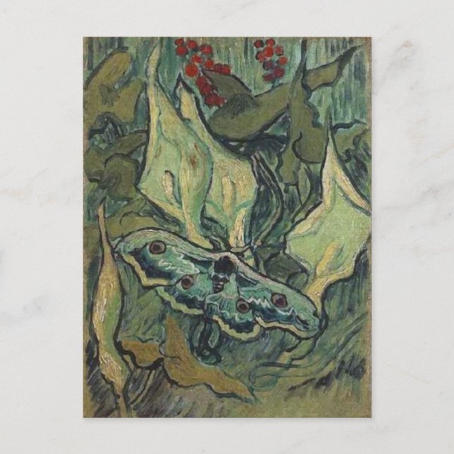 Emperor or Great Peacock Moth Van Gogh Fine Art Postcard (Front)