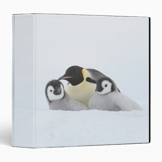 Emperor Penguin (Aptenodytes forsteri) 2 Binder (Front/Spine)