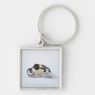 Emperor Penguin (Aptenodytes forsteri) 2 Keychain