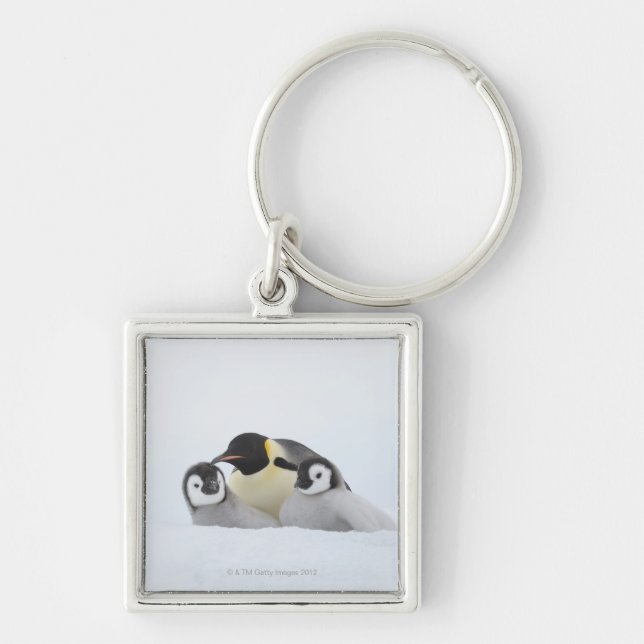 Emperor Penguin (Aptenodytes forsteri) 2 Keychain (Front)