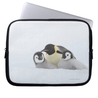 Emperor Penguin (Aptenodytes forsteri) 2 Laptop Sleeve