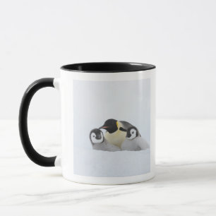 Emperor Penguin (Aptenodytes forsteri) 2 Mug