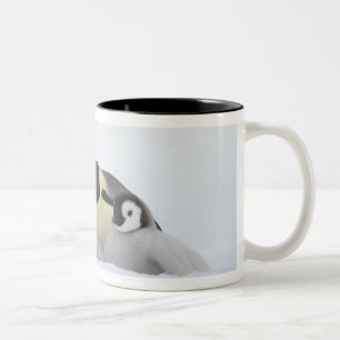 Emperor Penguin (Aptenodytes forsteri) 2 Two-Tone Coffee Mug