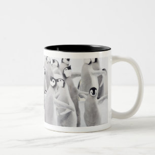 Emperor Penguin (Aptenodytes forsteri) Two-Tone Coffee Mug