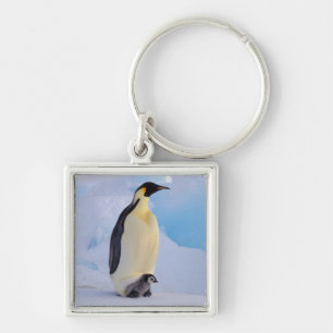 Emperor Penguin   Aptenodytes Keychain