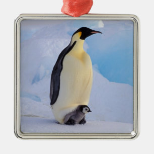 Emperor Penguin Aptenodytes Metal Ornament