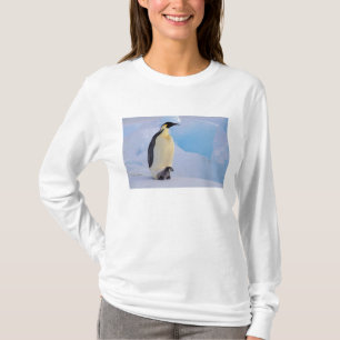 Emperor Penguin Aptenodytes T-Shirt