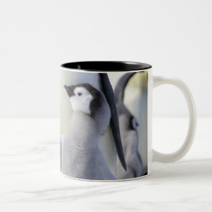 Emperor Penguin Chick Two-Tone Coffee Mug