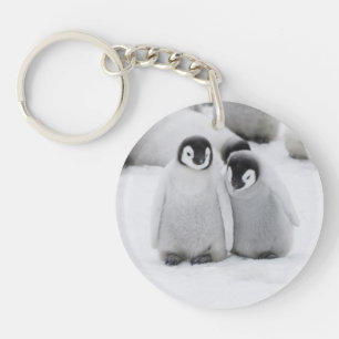 Emperor Penguin Chicks on Ice in Antarctica Keychain