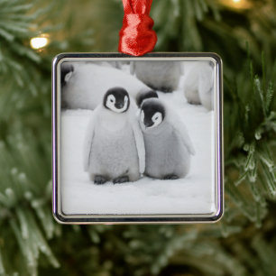 Emperor Penguin Chicks on Ice in Antarctica Metal Ornament