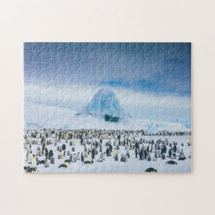 Emperor Penguin Colony Jigsaw Puzzle