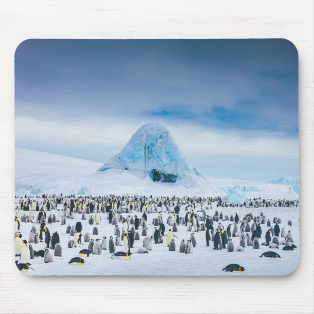 Emperor Penguin Colony Mouse Pad (Front)