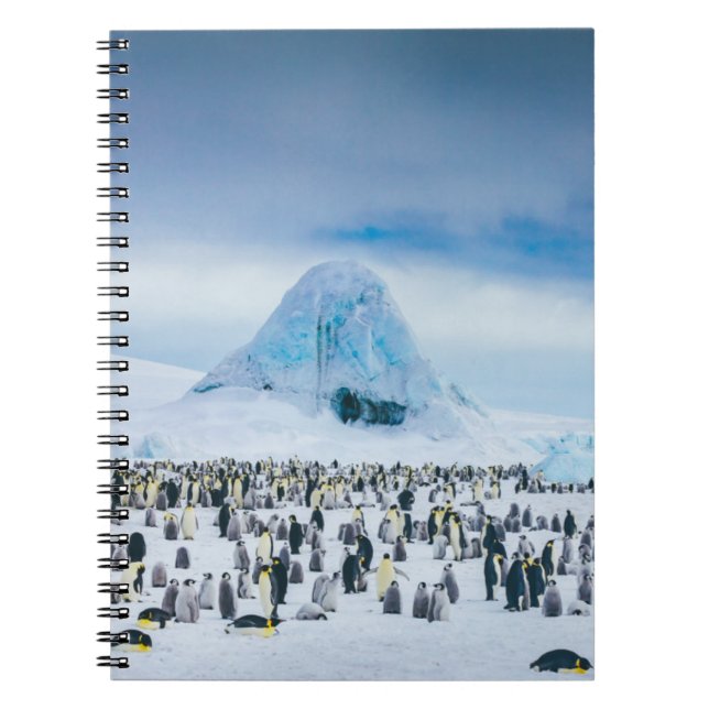 Emperor Penguin Colony Notebook (Front)