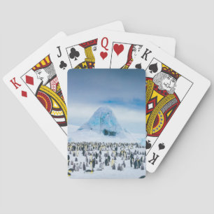 Emperor Penguin Colony Playing Cards