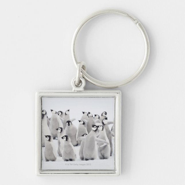Emperor penguin keychain (Front)